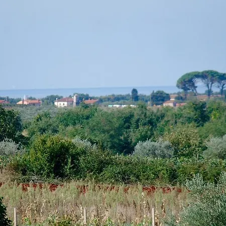 Zubonja Umag